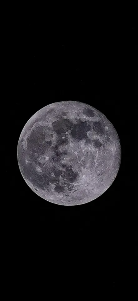 A full harvest moon against a black sky